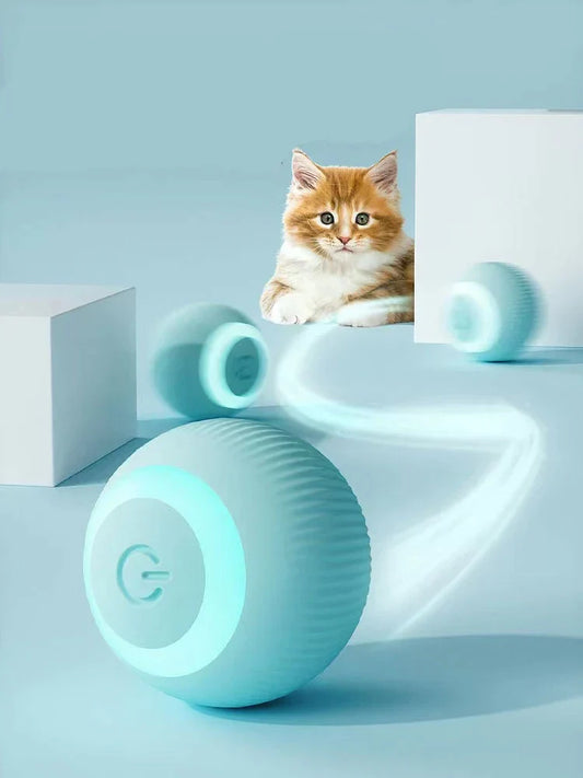 Cat Moving Ball