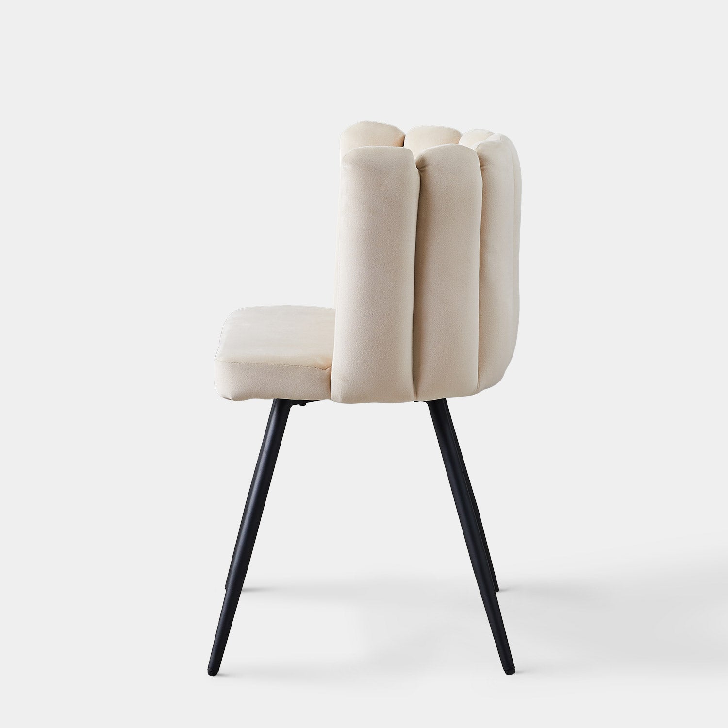 Cream velvet accent chair with a petal curved backrest and tapered black metal legs, showcasing a sleek and modern design.
