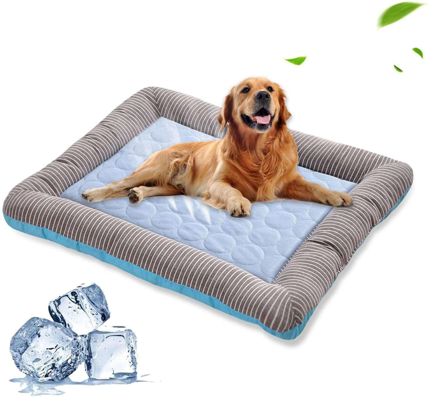Golden retriever resting on a light blue cooling pad with a gray striped border, featuring ice cubes nearby.
