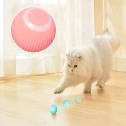 Cat Moving Ball