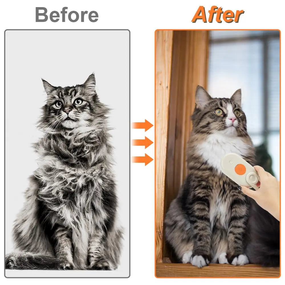 Pet Spray Massage Brush – Steam Grooming Comb for Cats & Dogs