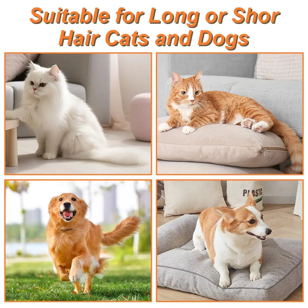 Pet Spray Massage Brush – Steam Grooming Comb for Cats & Dogs