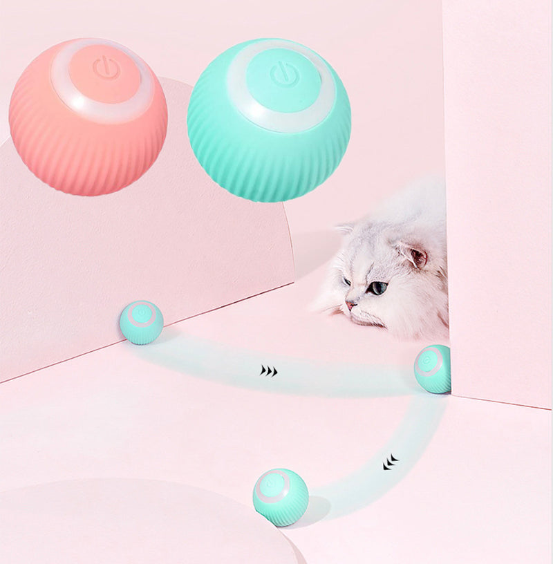 Cat Moving Ball